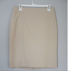 Express Pencil Skirt